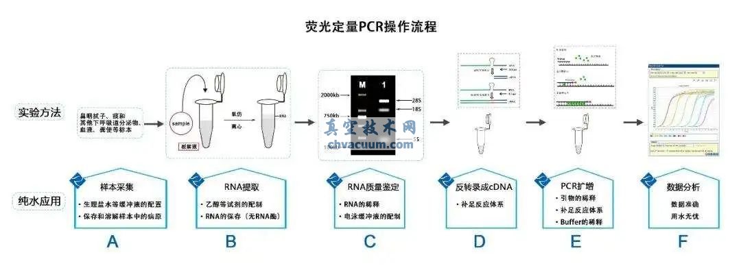 真空技術(shù)在核酸檢測(cè)的關(guān)鍵作用