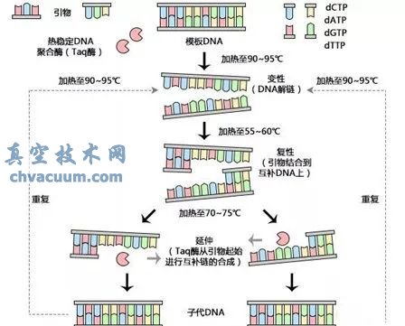 真空技術(shù)在核酸檢測(cè)的關(guān)鍵作用